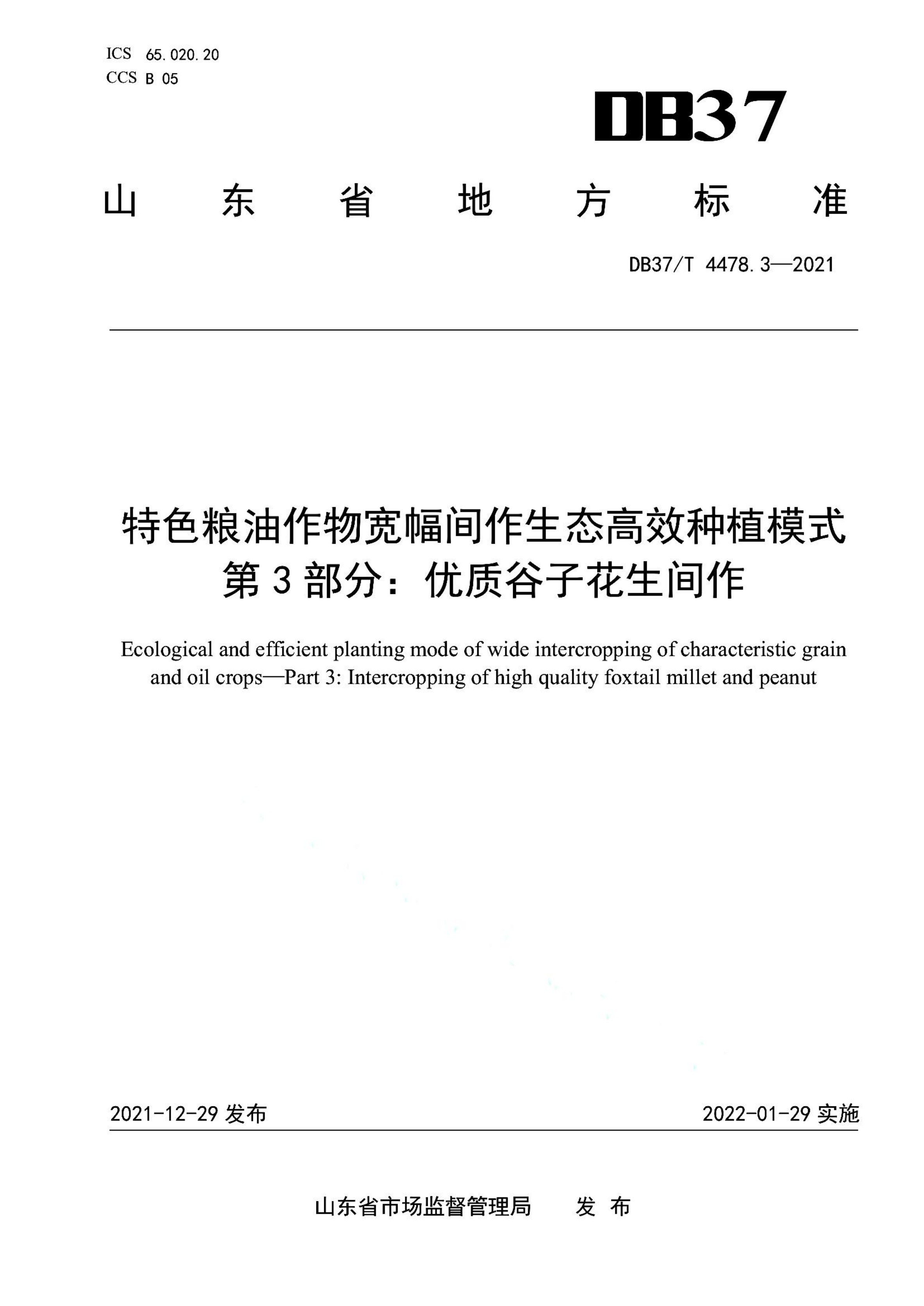 资源详情图
